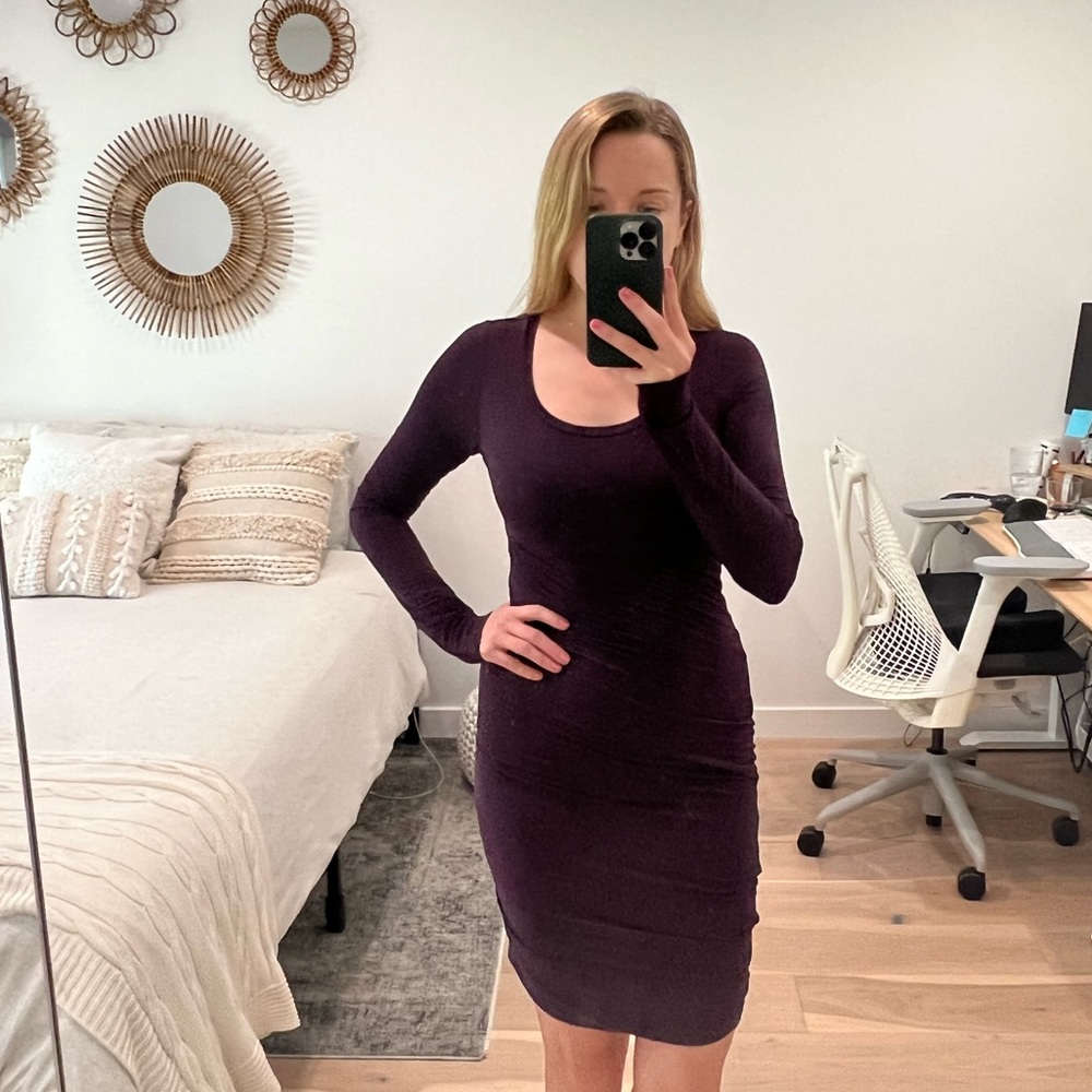 ⭐️⭐️ Aritzia Wilfred Bodycon Long Sleeve Dress